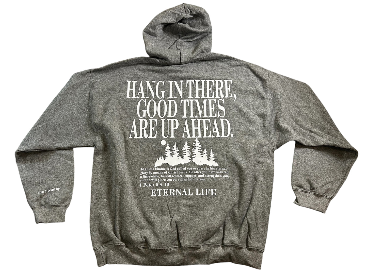 Hang In There Hoodie