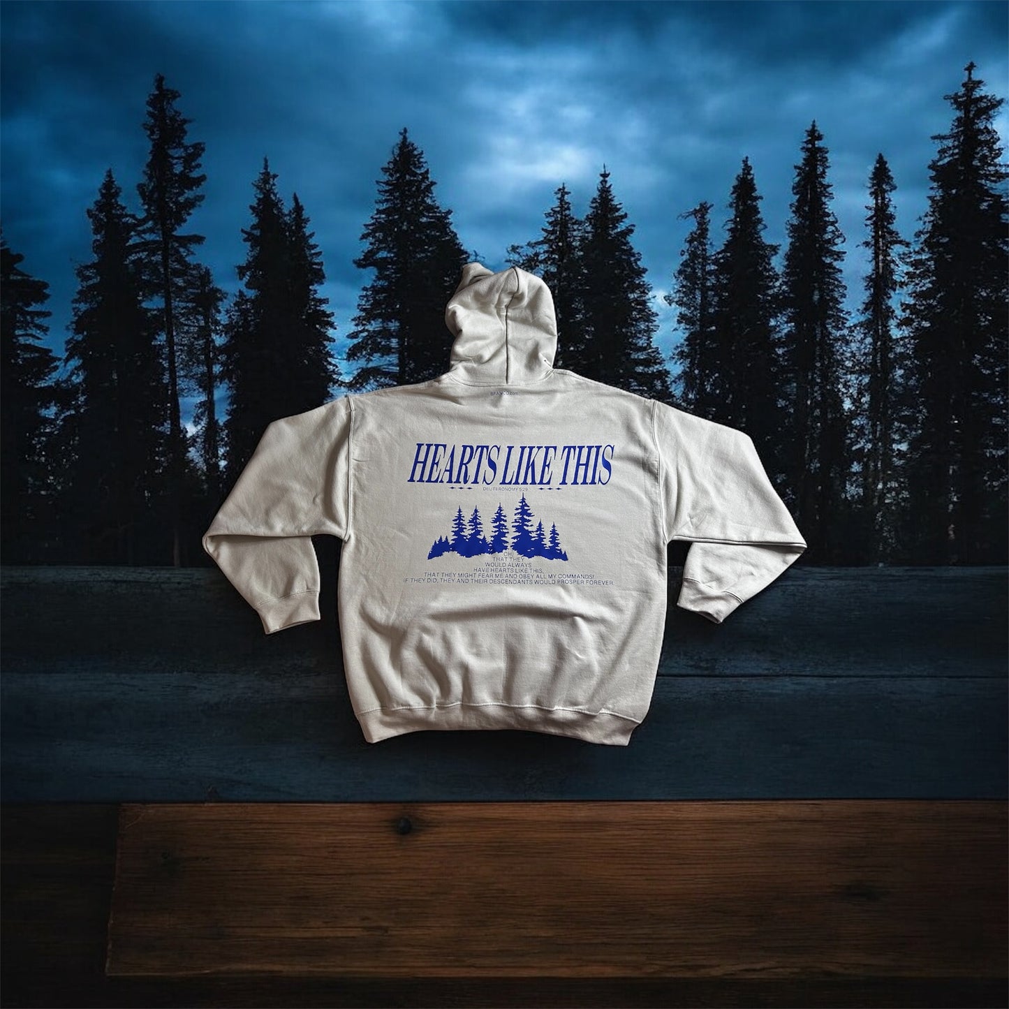 Hearts Like This Hoodie