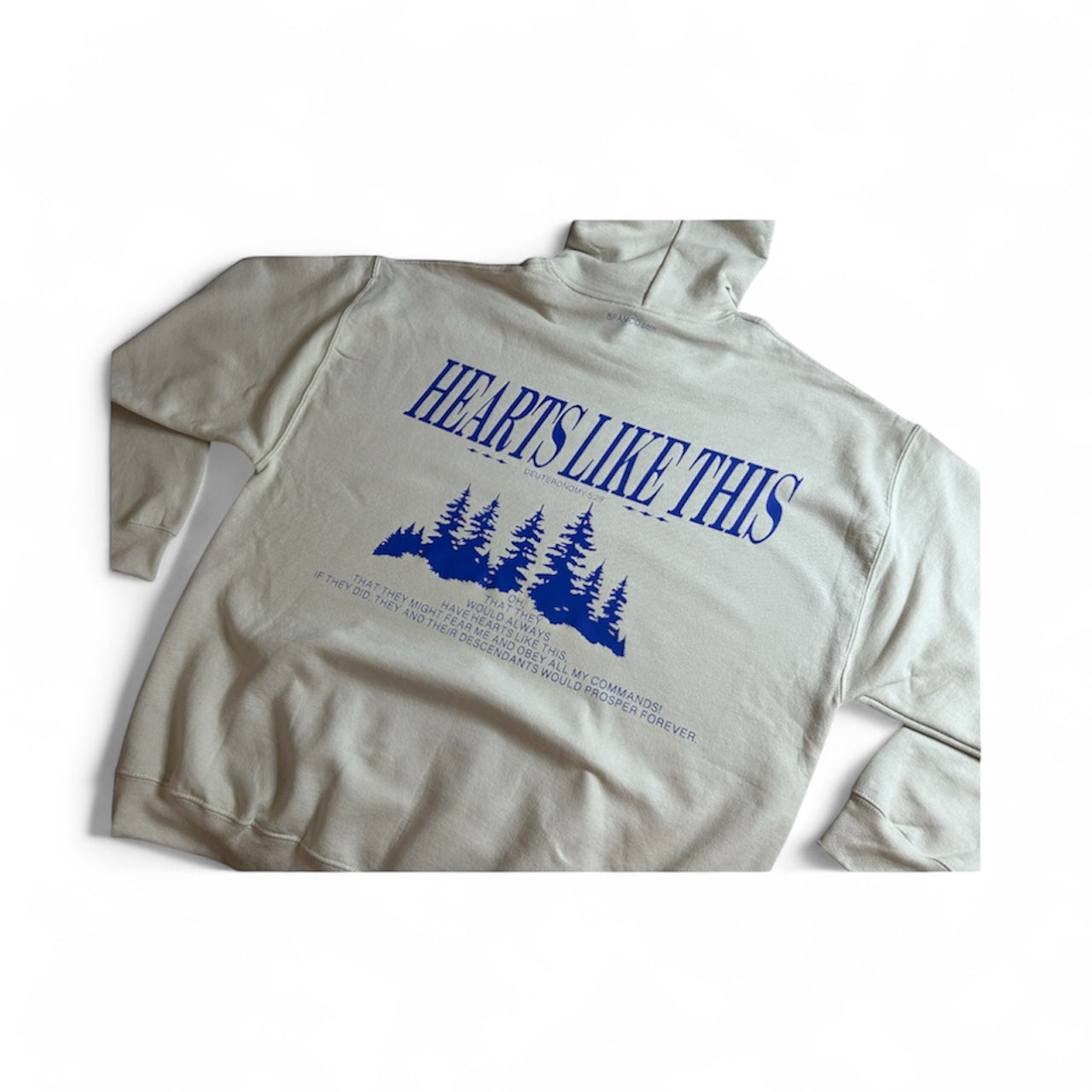 Hearts Like This Hoodie