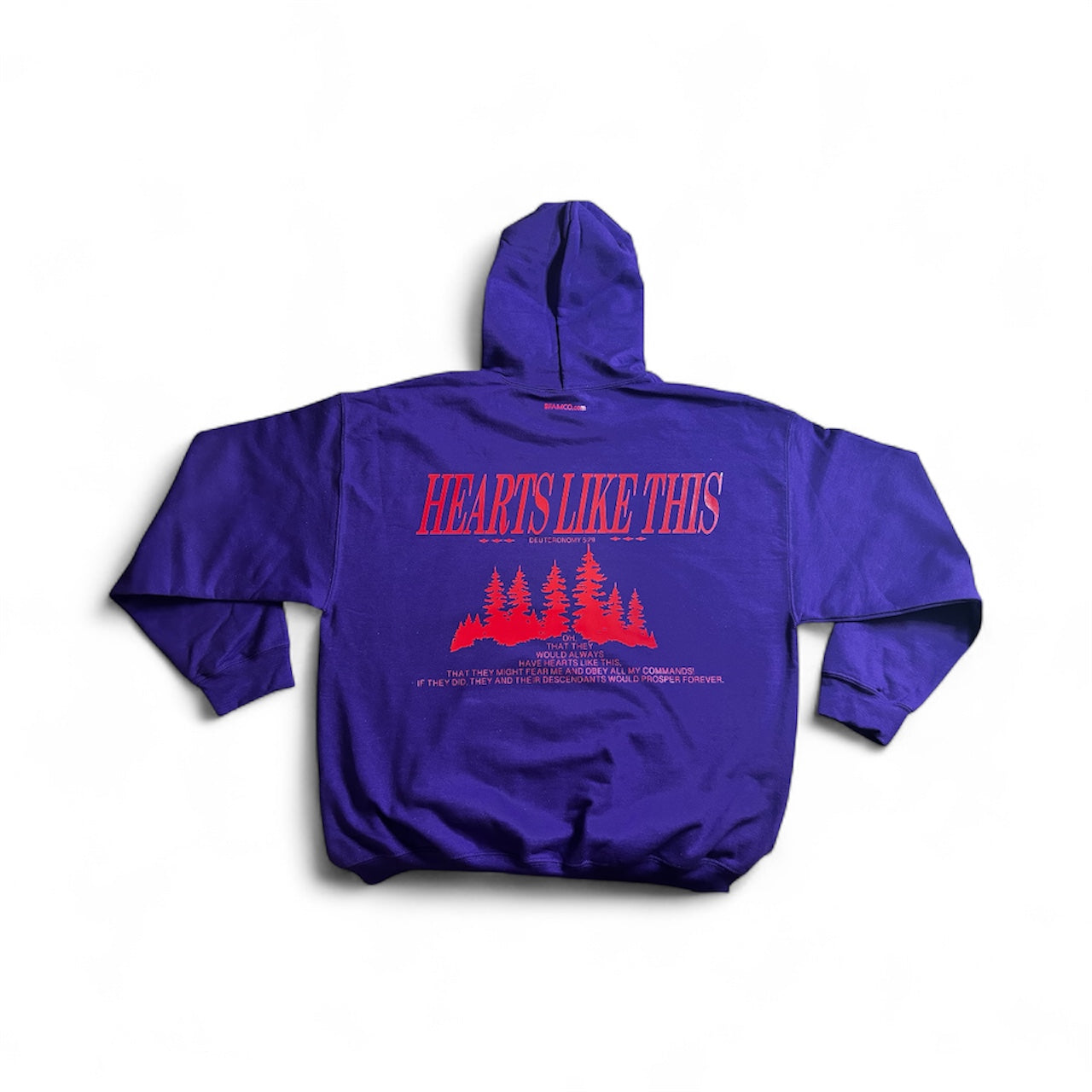 Hearts Like This Hoodie