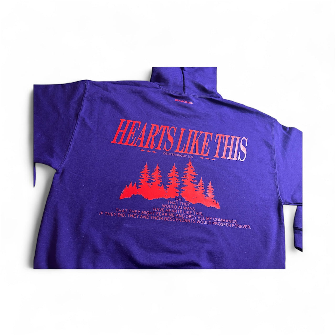 Hearts Like This Hoodie